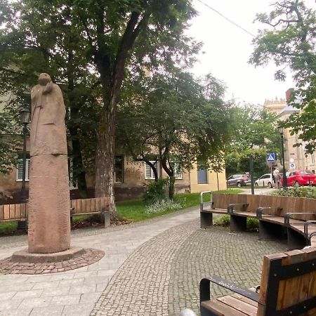 شقة Вірменська 14 Центр З Балконом Не Далеко Від Ж Д Вокзалу Звітні Документи إلفيف المظهر الخارجي الصورة